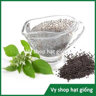 Hạt giống lá é trắng Thái Lan gói 600 hạt