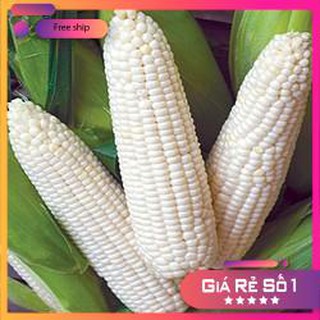 Hạt giống Bắp nếp nù (100g)