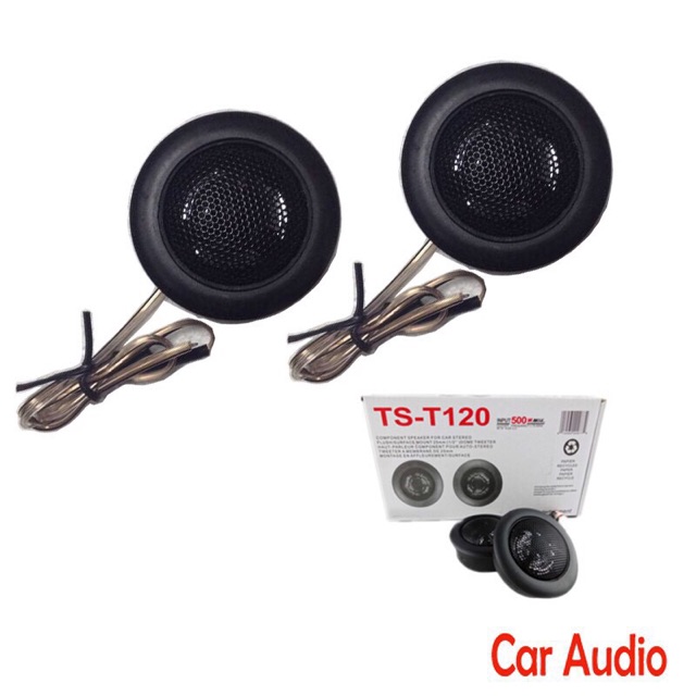 Sản phẩm gia đình làm: Loa chép ts120