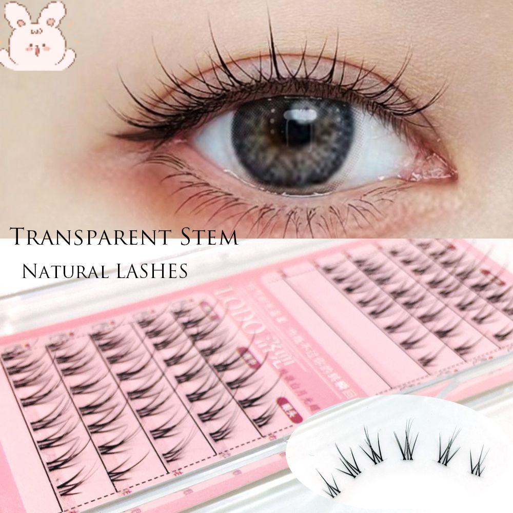 Hộp 70 Cụm Lông Mi Tự Nhiên Trong Suốt Gọn Nhẹ DIY