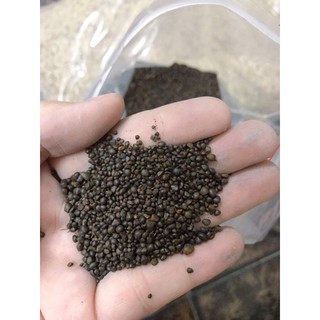 Sạn suối - sỏi suối nâu - Trãi Nền, trang trí bể cá 1kg