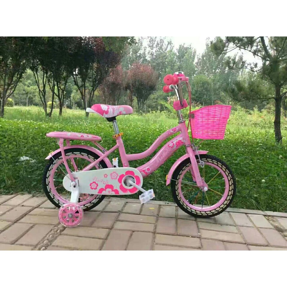 xe đạp 2 khung, Xe đạp mini nữ trẻ em cỡ bánh 18 inch.cho bé từ 6-9t