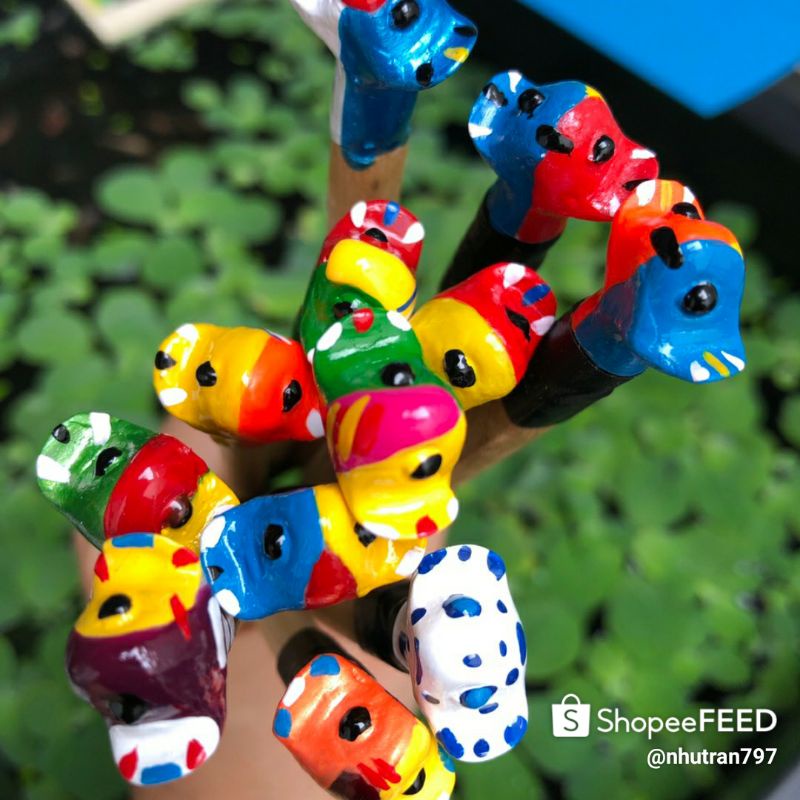 CÂY KÈ CÁ BETTA