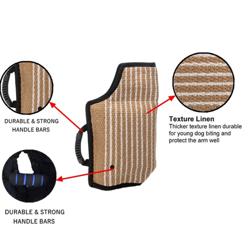 Găng tay đồ chơi ngậm cắn huấn luyện chó cưng