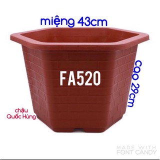 chậu lục giác trồng cây,trồng hoa,trồng rau FA520