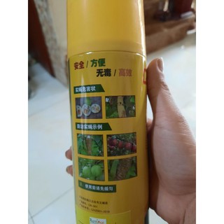 keo bẫy ruồi vàng
