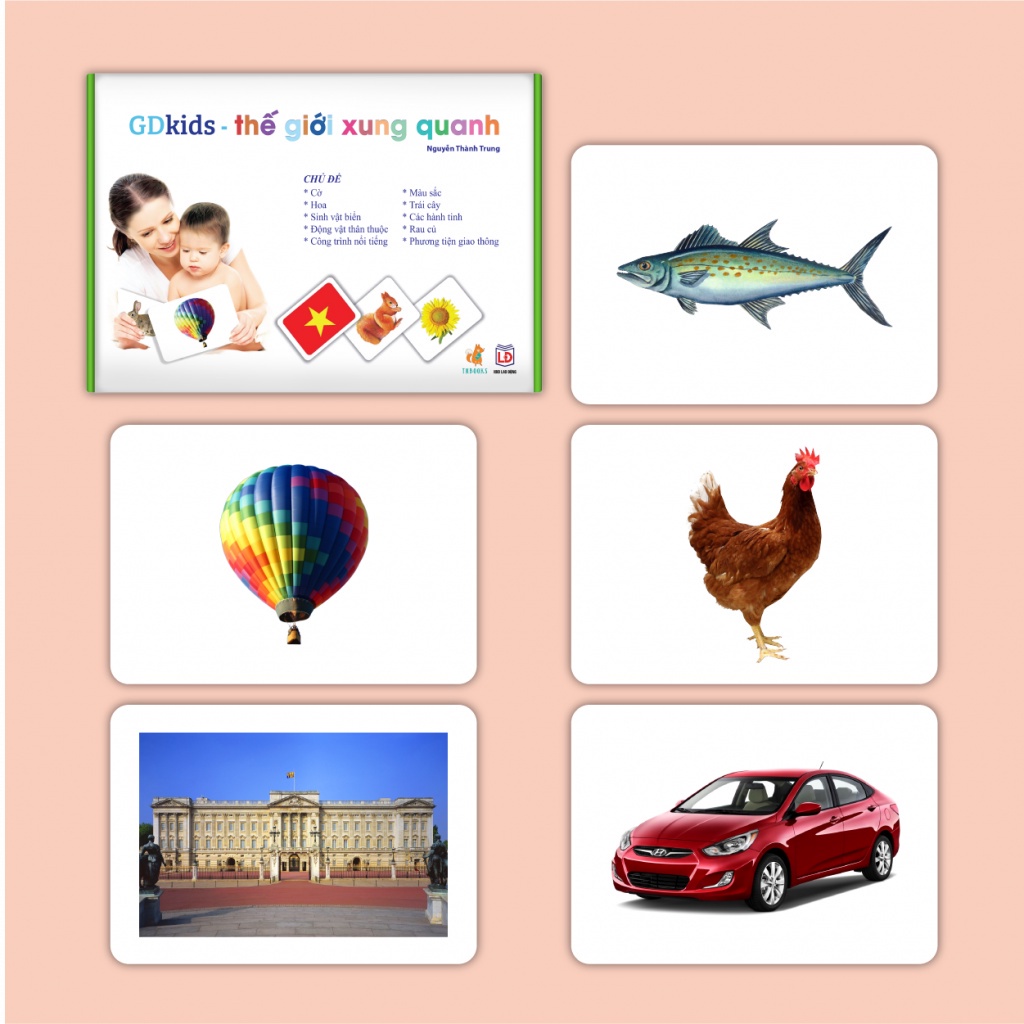 Flashcard - Combo Bộ Thẻ GDkids glenn doman Cơ Bản thế giới xung quanh thẻ toán thẻ chữ  259 thẻ - Cho bé 0- 6 tuổi