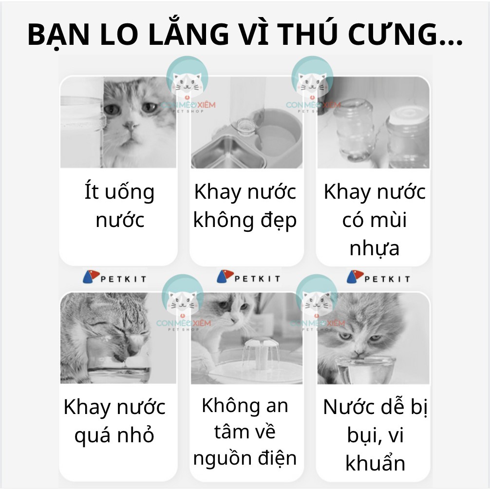 Máy lọc nước cho chó mèo Petkit ever sweet 3, đài phun nước tự động thú cưng Con Mèo Xiêm