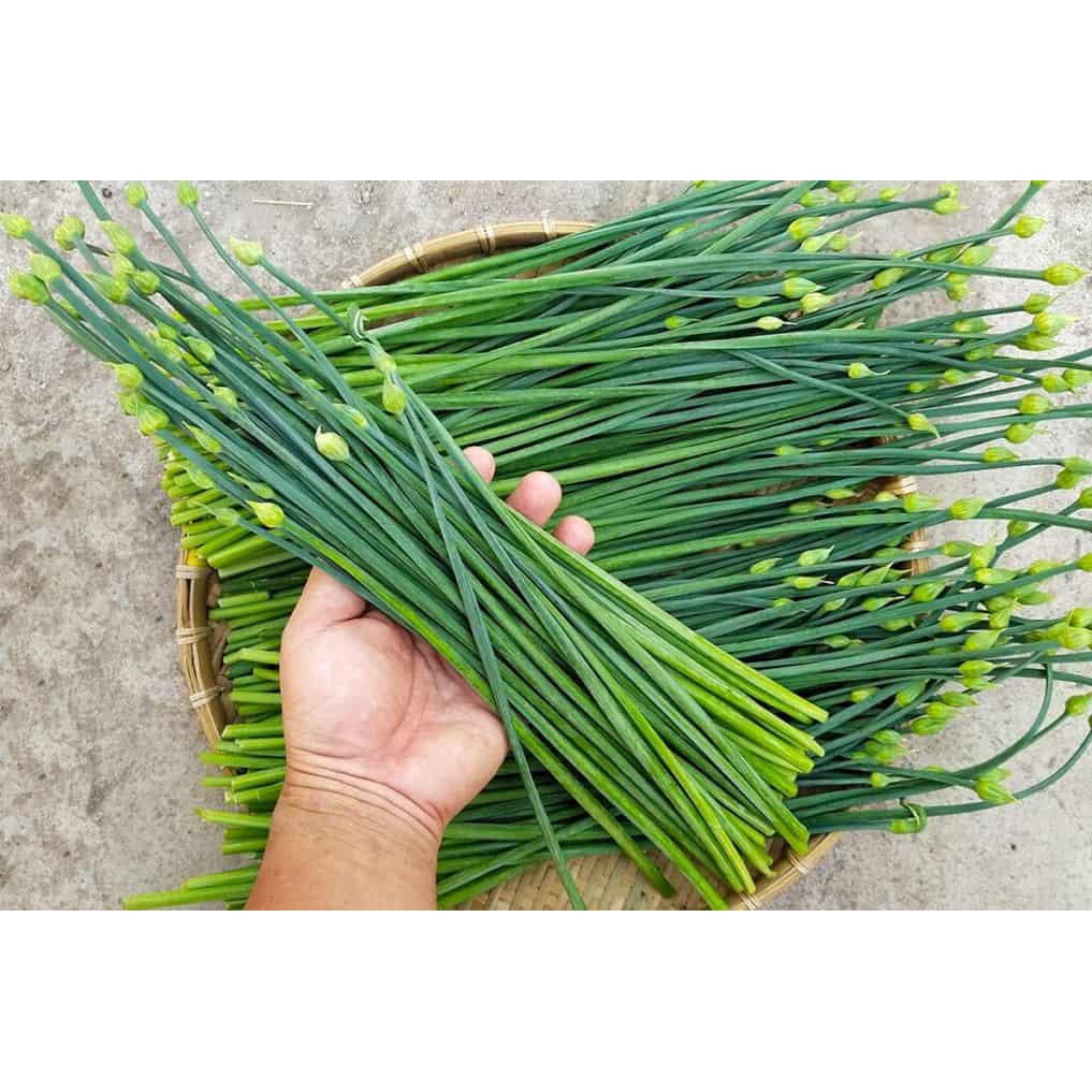 Hạt Giống Hẹ Cao Sản [1g]