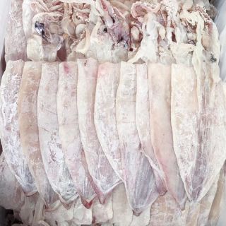 (max ngon loại 20-22 con/kg):500gr Mực Câu Đà Nẵng loại max ngon , mực mới mềm thơm ngọt thịt và dầy mình