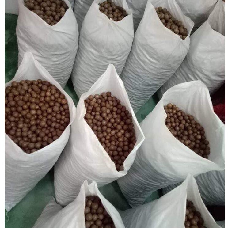 [Mã GROSALEHOT giảm 8% đơn 250K] Hạt macca tây nguyên 500g, loại 1, cưa vỏ sấy khô [Có Kèm Lẫy Tách Vỏ] | BigBuy360 - bigbuy360.vn