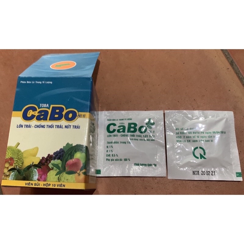 CABO của toba viên