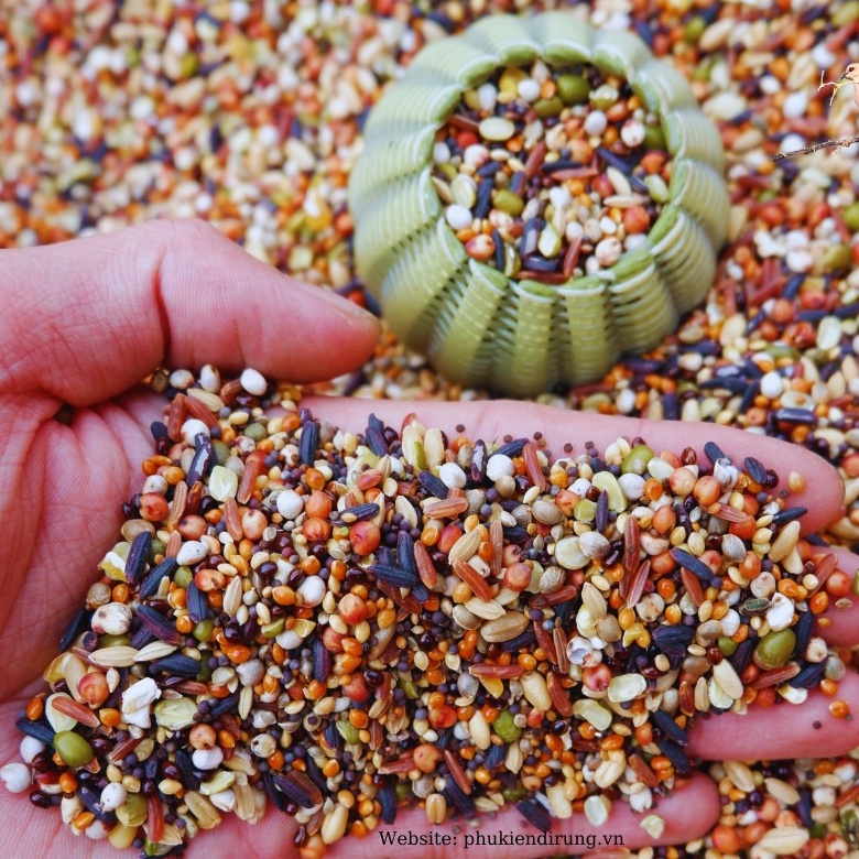 Thức Ăn Chim Cu Gáy Ngũ Cốc 20 Loại Hạt