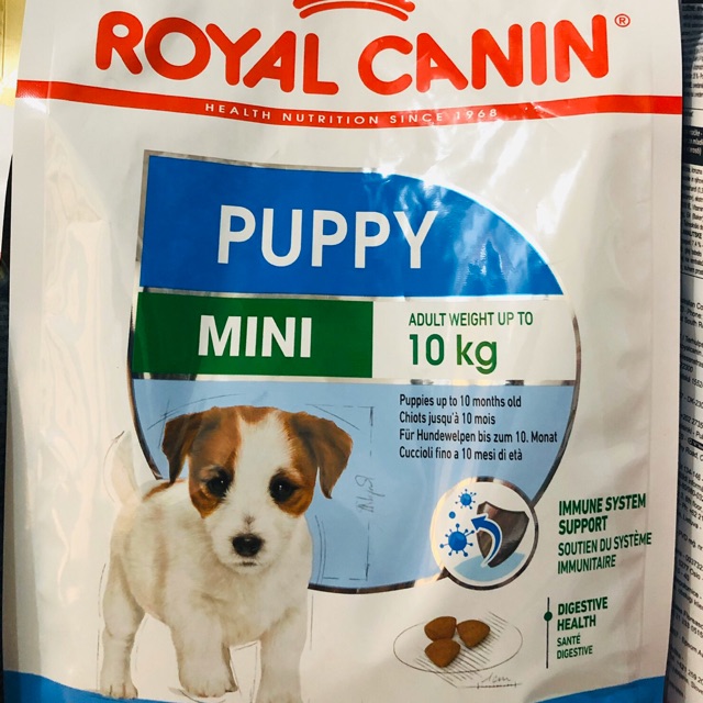 Royal canin mini puppy 800gr