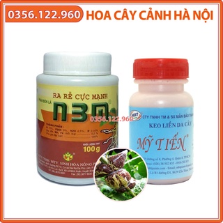 Combo 2 loại kích thích ra rễ N3M và Keo Bôi Liền Sẹo chuyên dùng cho hoa cây cảnh