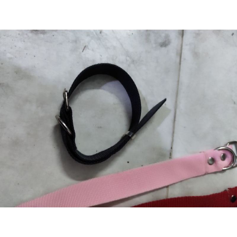 Dây xích chó 2li 4li,vòng cổ chó