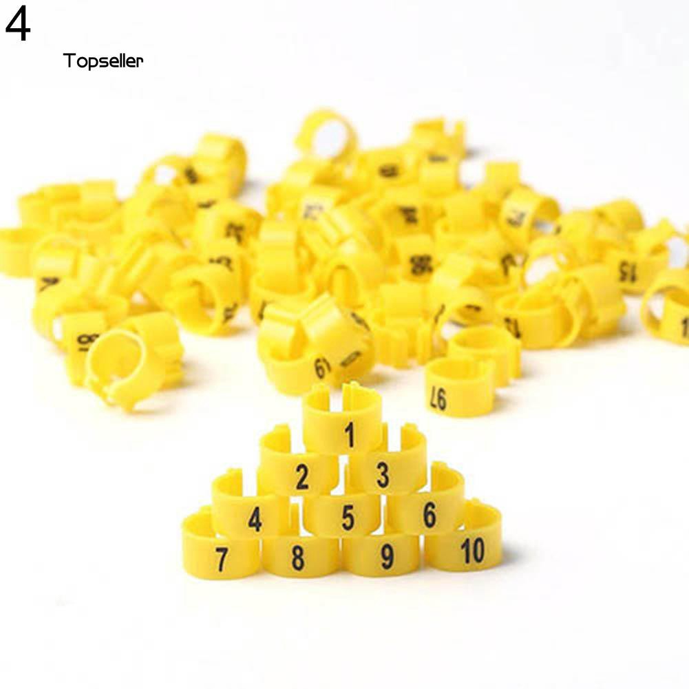 Set 100 vòng đeo chân chim bồ câu bằng nhựa
