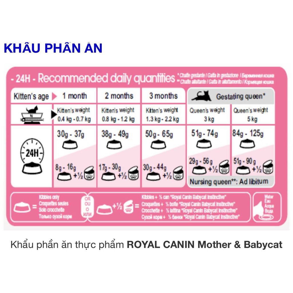 Thức ăn cho mèo mang thai & mèo con sơ sinh Royal Canin Mother & Babycat 400g