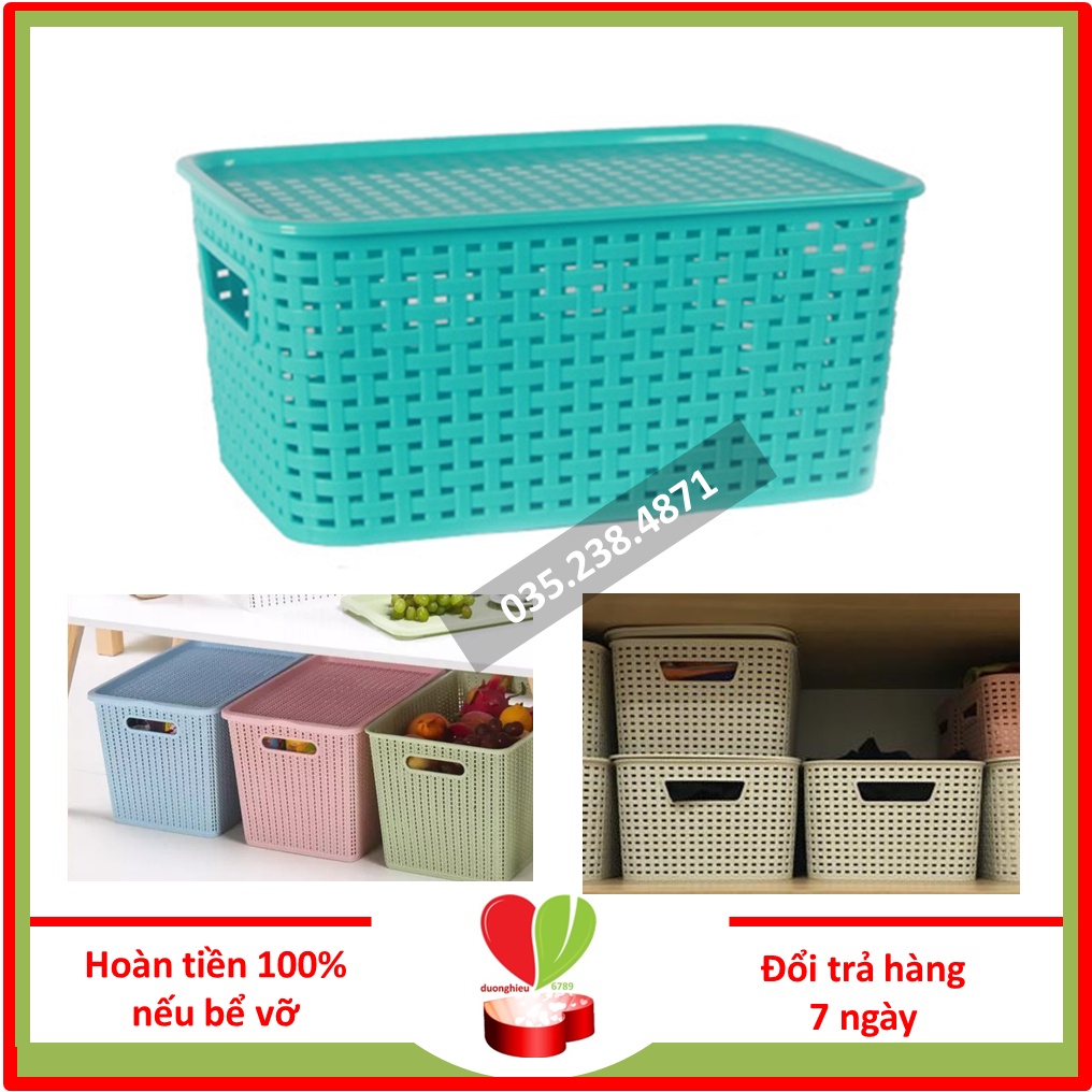 Giỏ Đựng Đồ Có Nắp Hàn Quốc Song Long Cỡ Bé 2572 - Duonghieu6789