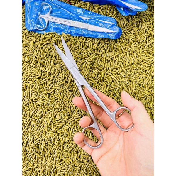 Kéo cong tỉa lông gà