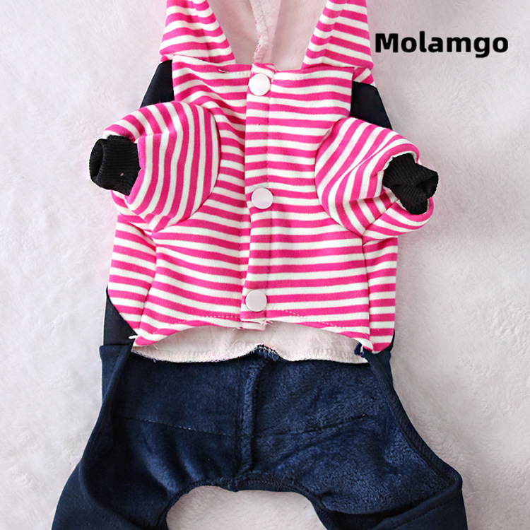 Áo kiểu MOLAMGO thiết kế gấu hoạt hình màu hồng/ xanh dương đáng yêu dành cho cún cưng