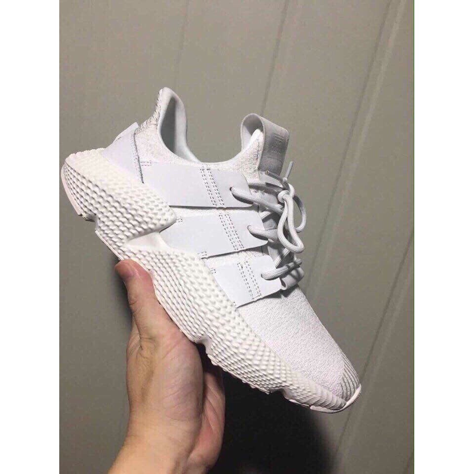 Prophere REP