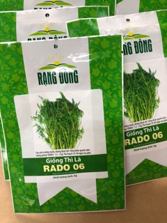 Hạt giống rau Thì Là