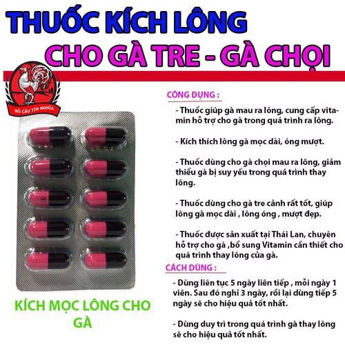 COMBO  [ 4 Vĩ x 10 Viên TẶNG BAO MỎ ]  Kích Ra Lông Cho Gà Đá-Chắc Khỏe-Ra Đều- Kích Thích Ra Lông Nhanh