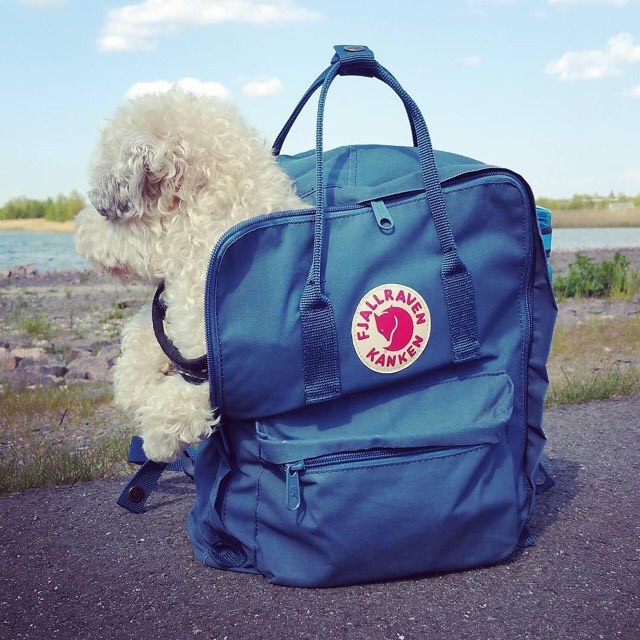 BALO FJALLRAVEN KANKEN CLASSIC