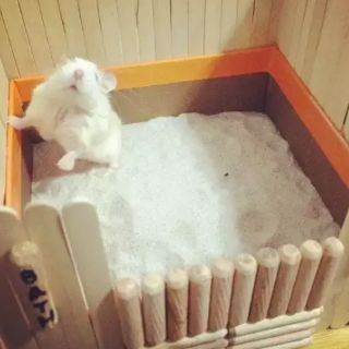 Cát tắm thơm cho Hamster gói 1kg [nhiều mùi hương]