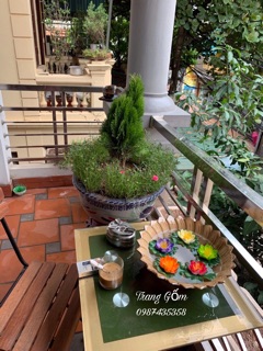 Hoa thả bát sen