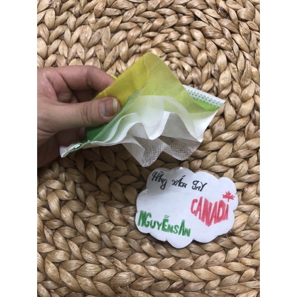 Khẩu trang màu pastel ombre 4 lớp HDHL HEALTHCARE