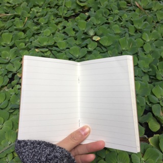 Ruột sổ midori size passport 12.5x9 cm