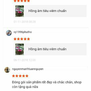 Bộ HONG AM TIEU VIEM chuẩn(gồm 1 hộp kén và 1 hộp xông)