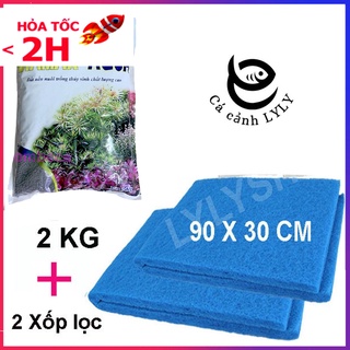 COMBO Đất nền thủy sinh DIA MAX- AQUA (2KG) giàu dinh dưỡng + 2 Xốp lọc bể cá 90 X 30 CM siêu sạch