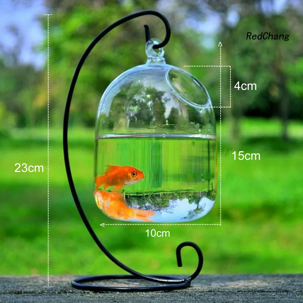 Bình đựng cá bằng thủy tinh trong suốt treo tường nhà trang trí sáng tạo