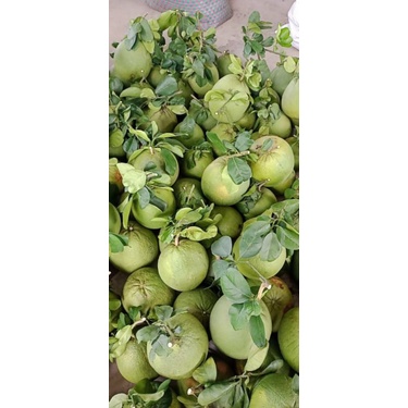 Bưởi da xanh gọt vỏ