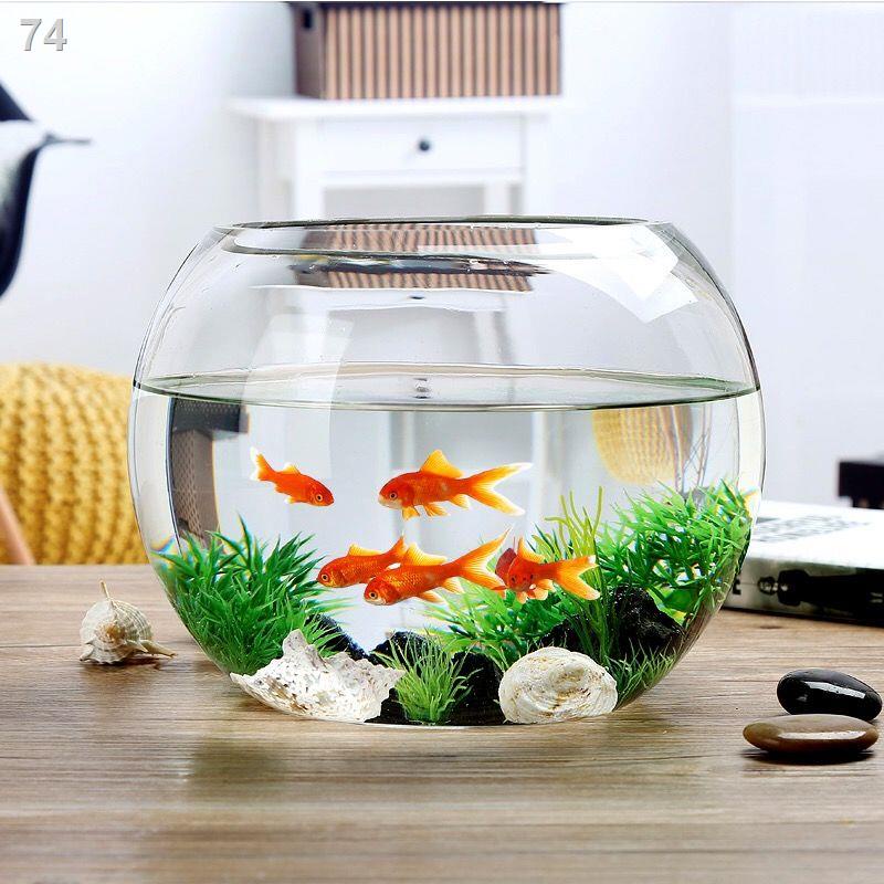 Miễn phí vận chuyển Bình thủy tinh trong suốt đựng nước củ cải xanh Bình đơn giản hình tròn bể cá thủy canh bát cá vàngG
