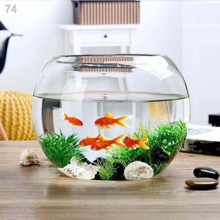 Miễn phí vận chuyển Bình thủy tinh trong suốt đựng nước củ cải xanh Bình đơn giản hình tròn bể cá thủy canh bát cá vàngG