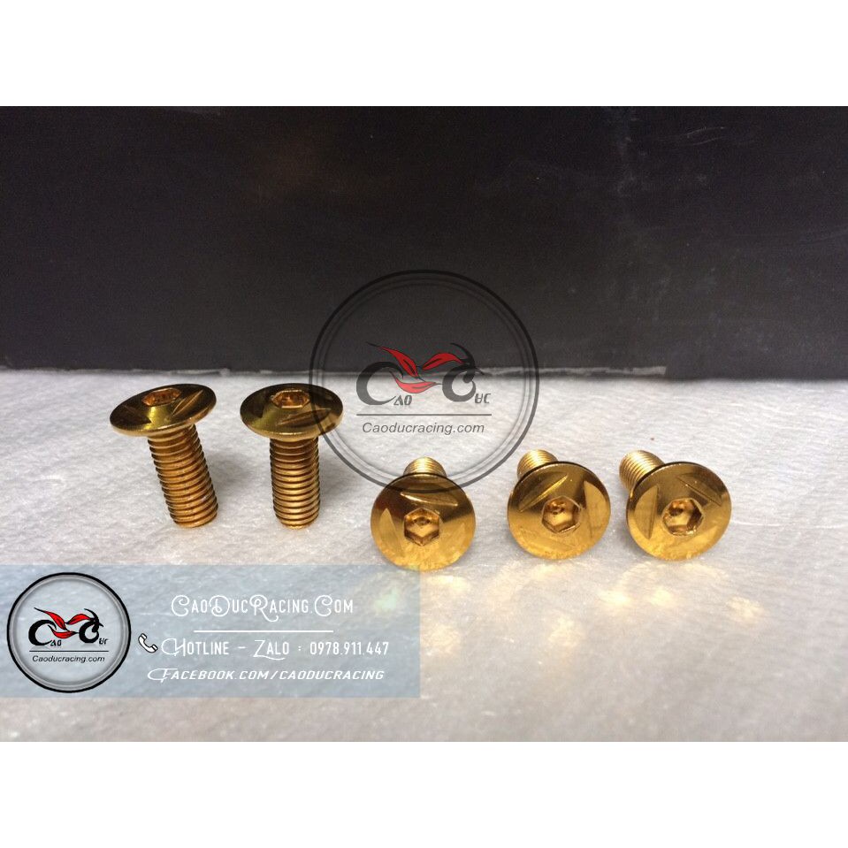 ốc đĩa vàng thái lan 8x20 - combo 5 con