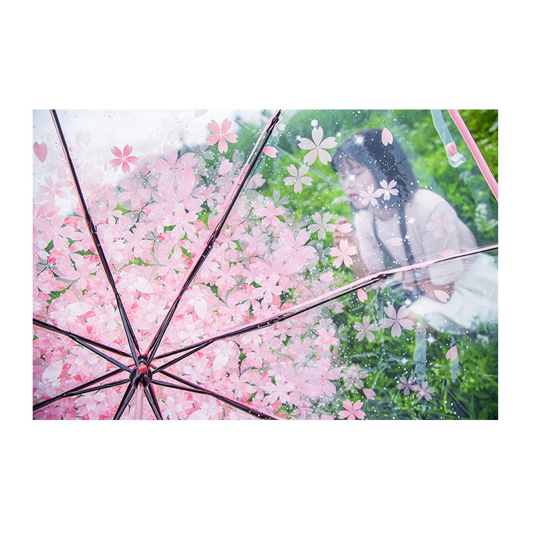 Dù che mưa trong suốt họa tiết hoa anh đào phong cách nhật hàn dễ thương
