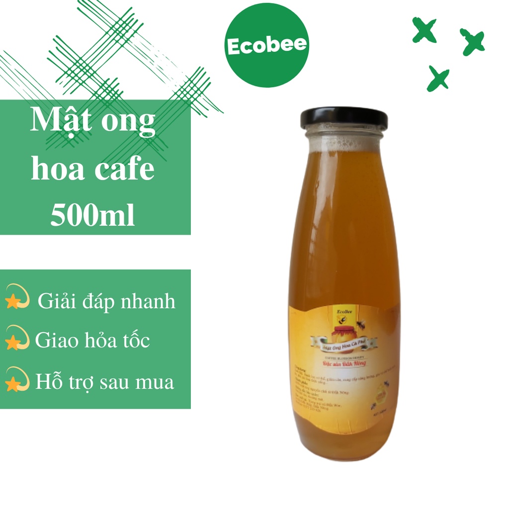 Mật Ong Hoa Cà Phê Ecobee Nguyên Chất 100% Hũ 500ml