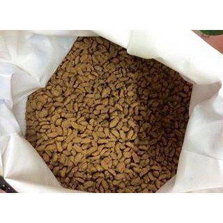 Hạt Homecat cho mèo mọi lứa tuổi