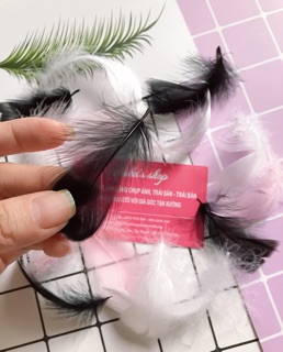 Phụ kiện chụp ảnh Lông vũ trang trí