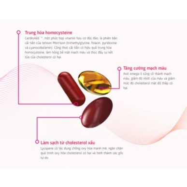 Pulse Box - Siberian Wellness - Giảm nguy cơ bệnh tim mạch do xơ vữa động mạch - Chống đột quy, chống đông máu, vón cục