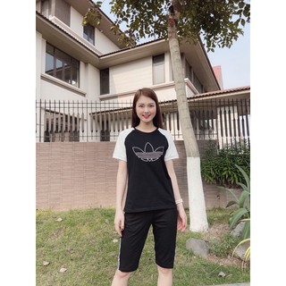 SET ĐAS NỮ QUẦN NGỐ