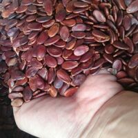 Hạt dưa Hùng Ký🍀FREESHIP☘Hạt dưa không màu Hùng Ký loại 1