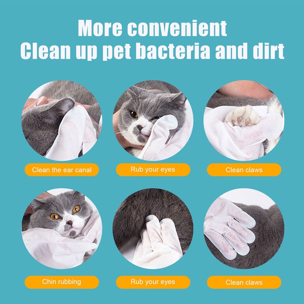 Set 6 Găng Tay Mát Xa Kháng Khuẩn Không Giặt Rửa Dùng Một Lần Cho Chó Mèo