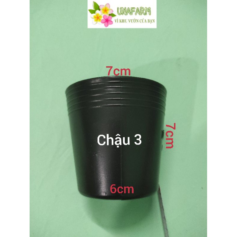 Combo 10 chậu nhựa đen mềm size C3