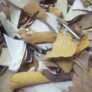 Cây Lá Gan 1kg